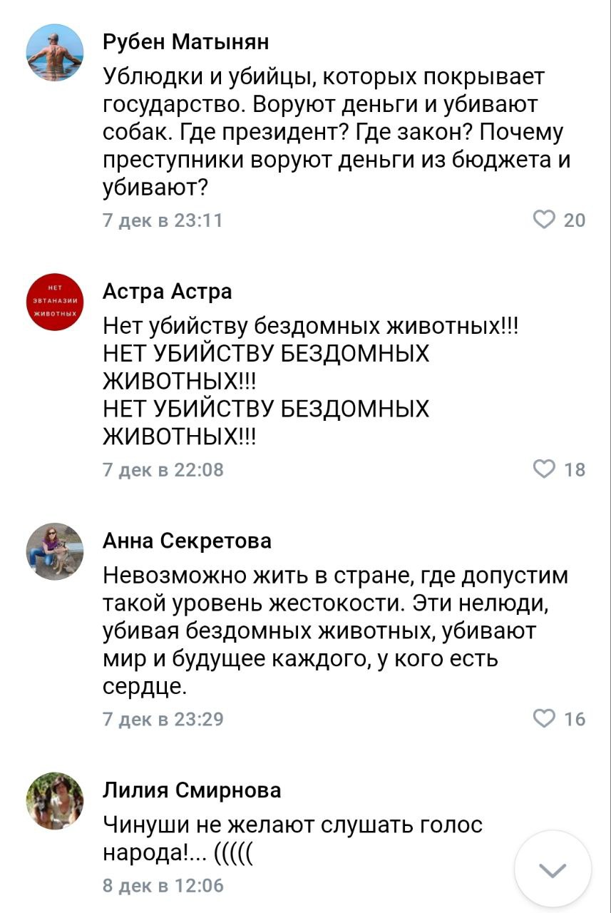 Мой любимый жанр – комменты тревожных зооактивистов Мой любимый жанр – комменты тревожных зооактивистов