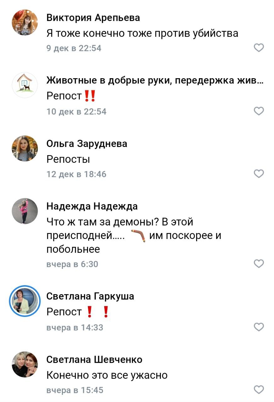 Мой любимый жанр – комменты тревожных зооактивистов Мой любимый жанр – комменты тревожных зооактивистов