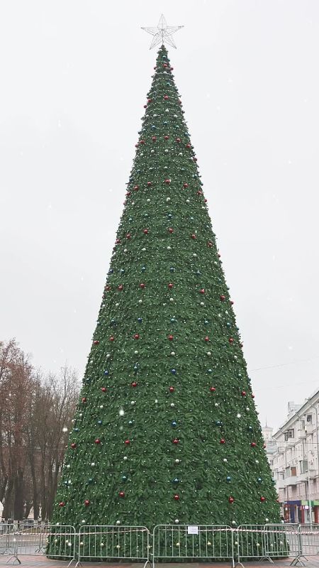 ������ �������� ����, ������������