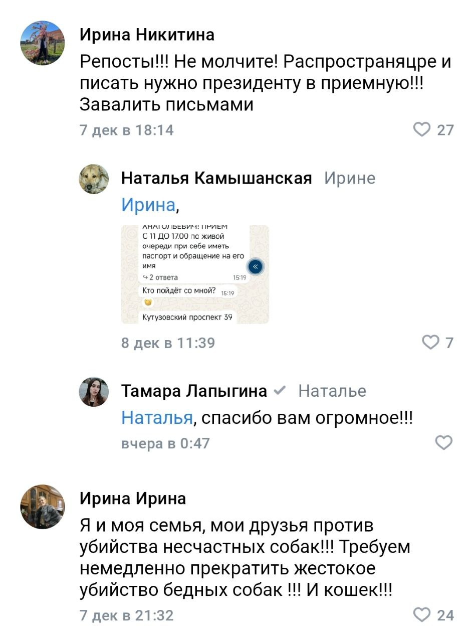 Мой любимый жанр – комменты тревожных зооактивистов Мой любимый жанр – комменты тревожных зооактивистов