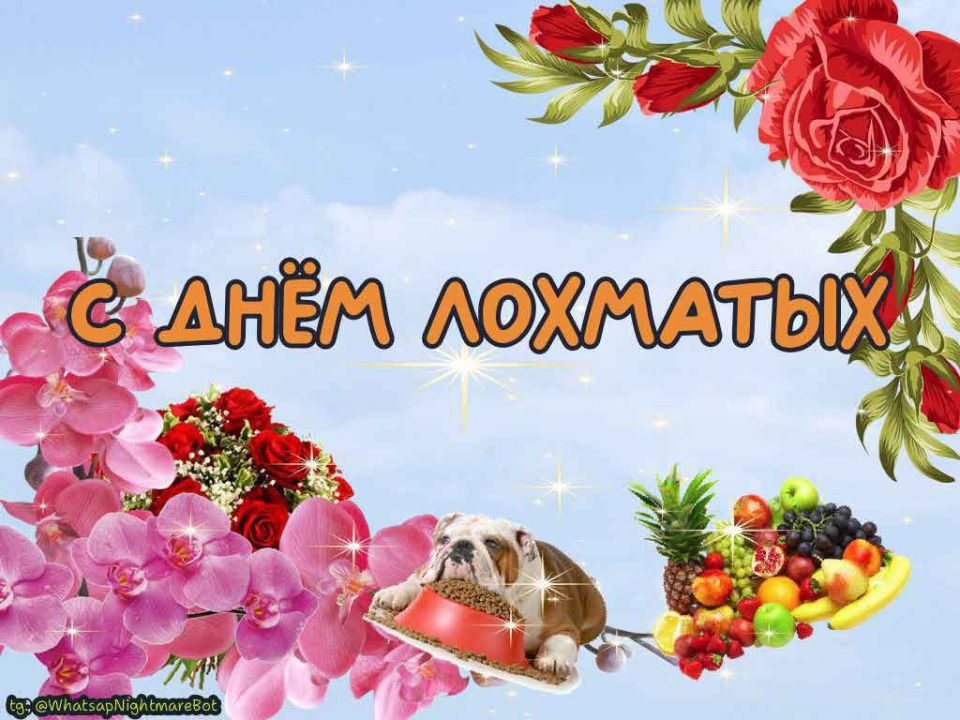 #КорочеПраздники на 16 декабря