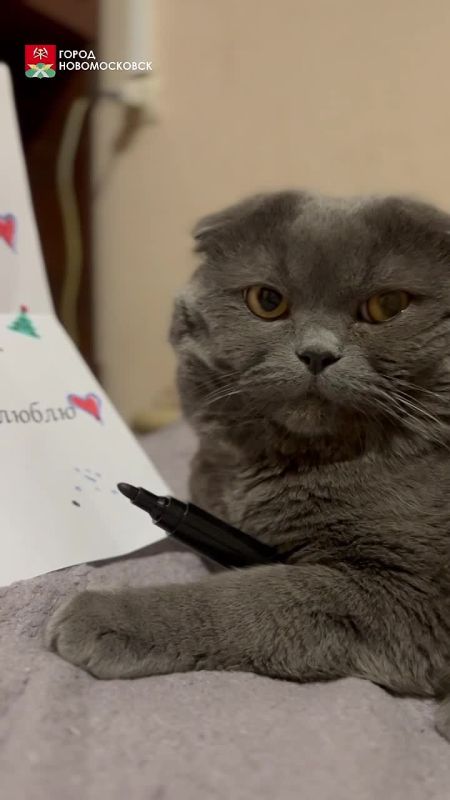 � �� ��� �������� ������ ���� ������?