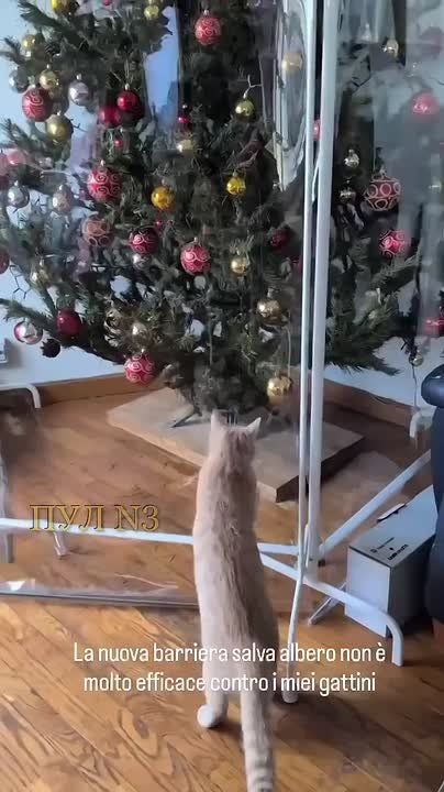 Михаил Онуфриенко: Вижу цель, не вижу препятствий