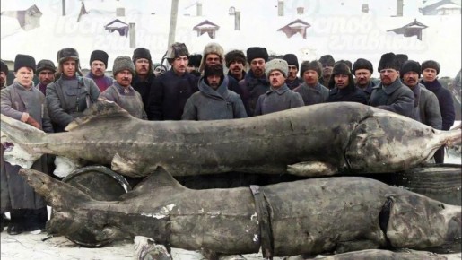 Михаил Онуфриенко: Скромная дореволюционная рыбалка