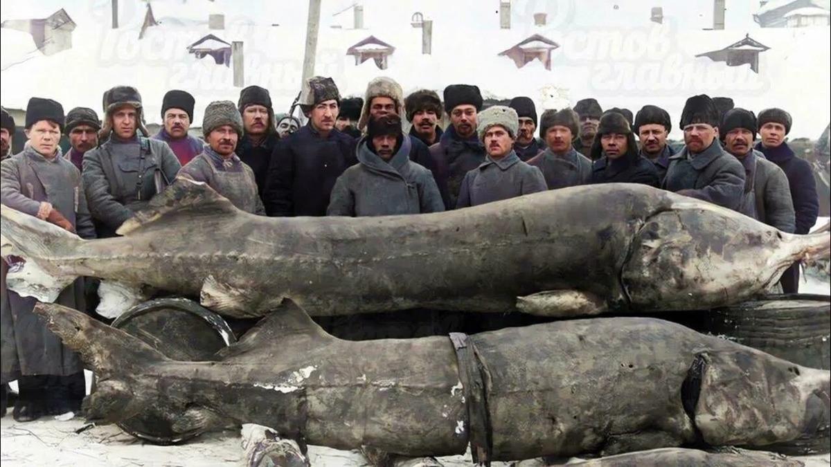 Михаил Онуфриенко: Скромная дореволюционная рыбалка