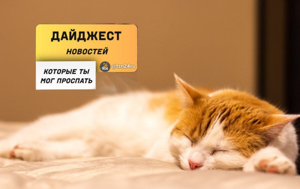 ������������ � ��������, ������� �� ����� ���������� �����