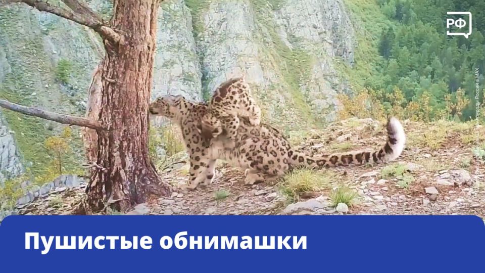 ������� ������� �������� ����