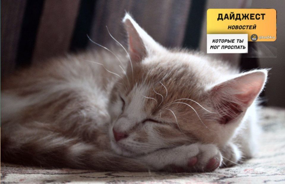 Рассказываем о новостях, которые вы могли пропустить вчера