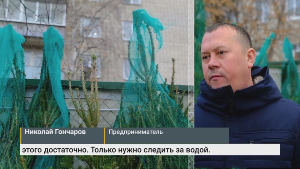 20 декабря в Туле откроются ёлочные базары