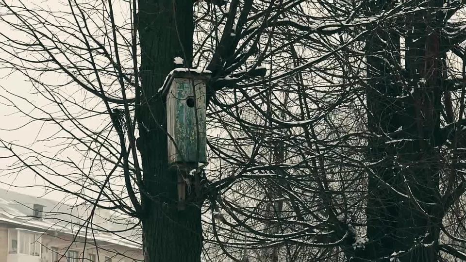 19 �������, 1987 ���.. ������ ����������