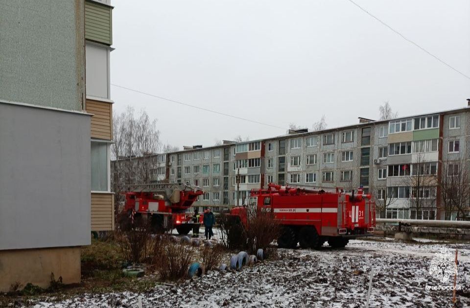 ��������� ��������� ������ �� ������ 15 �������� � 2 �����