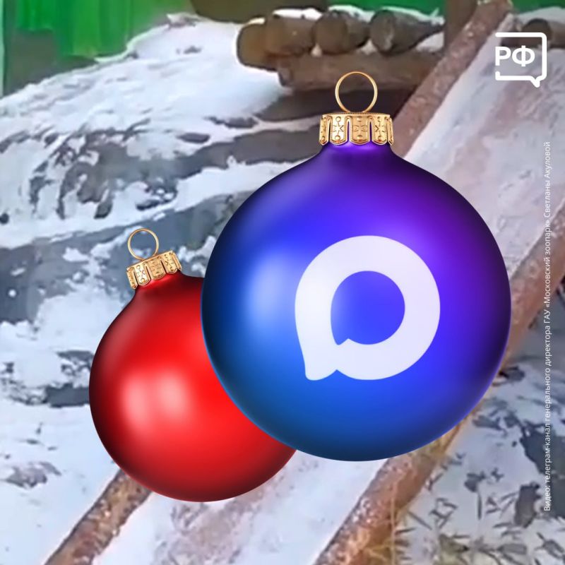 ��� �������� ���������.�� ������� ���������� ��������? �������������� �� ��� ��� � � �������!