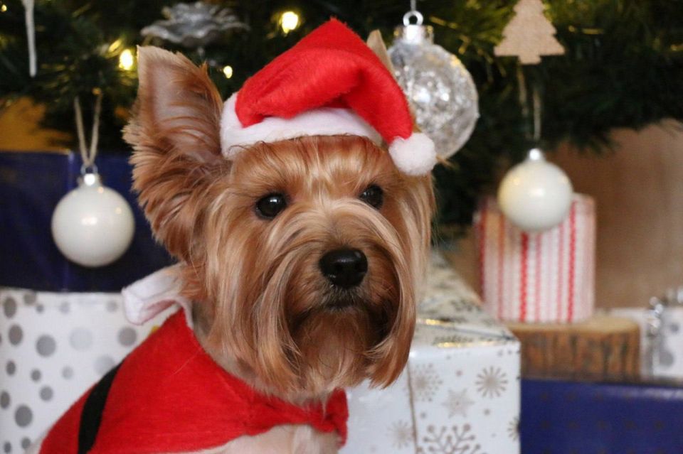 ��� ����� ��� � ����!. �� ������ ���� �������� 10 ����