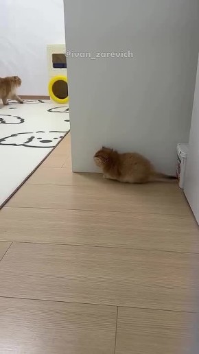 ������ ����������: �������������� � ����� �������������� ������