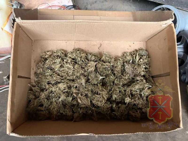 В Кимовском районе полицейскими задержан подозреваемый в незаконном культивировании наркосодержащих растений В Кимовском районе полицейскими задержан подозреваемый в незаконном культивировании наркосодержащих растений