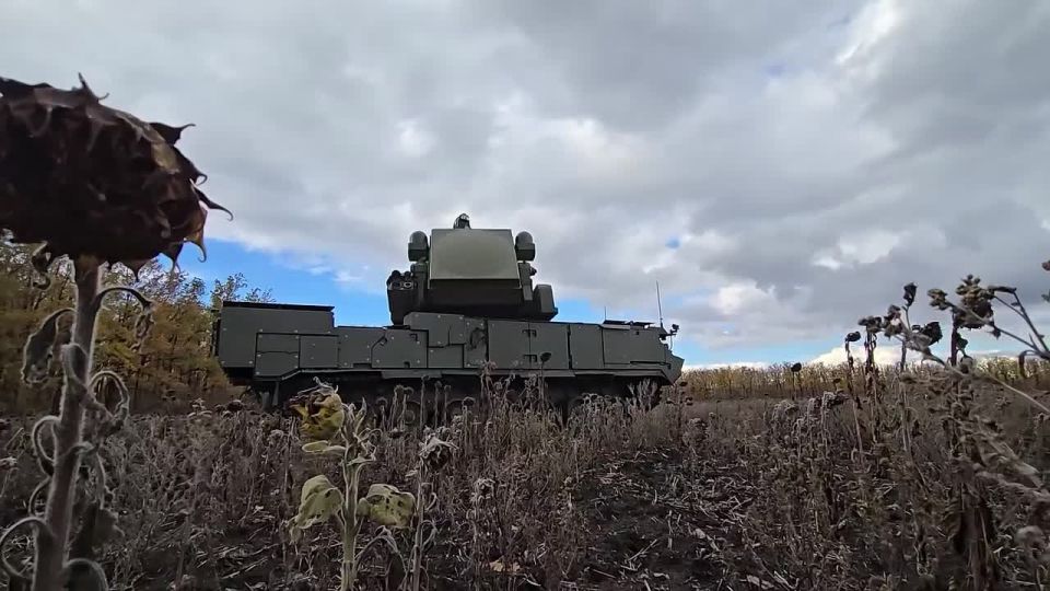 �� ����� 3 ��������� ����� ����� ����������� ��� ��������� ���� �� ������ ���������� ���, �������� ���� ������-������������� �������