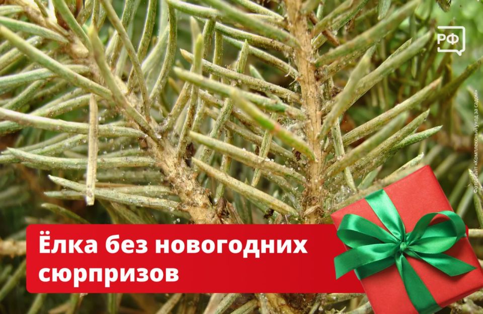 ����� �� ����� � ��� ����������! �� ���� ���������.�� ������ �������� ������������� ����, ������������ ����������� ������ ���� �� ����������� � ���������� ���������� ��� ������̻ ���� ��������