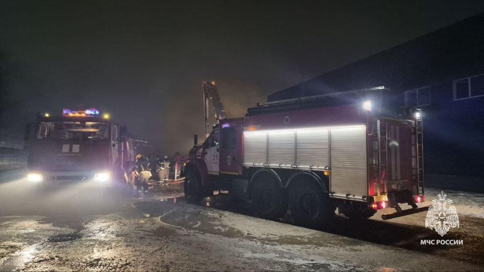 Пожар в городе Щекино полностью ликвидирован