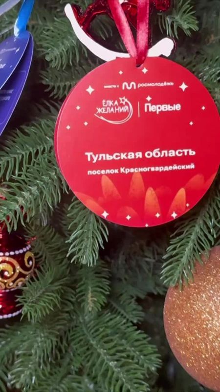 «Будем творить чудеса!». Губернатор Дмитрий Миляев принял участие в акции «Ёлка желаний» в Большом Кремлевском дворце