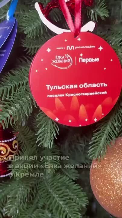 Дмитрий Миляев: В Большом Кремлевском дворце принял участие в ежегодной акции «Ёлка желаний»