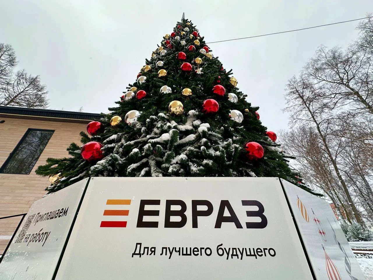 ЕВРАЗ установил елку в центре Новомосковска