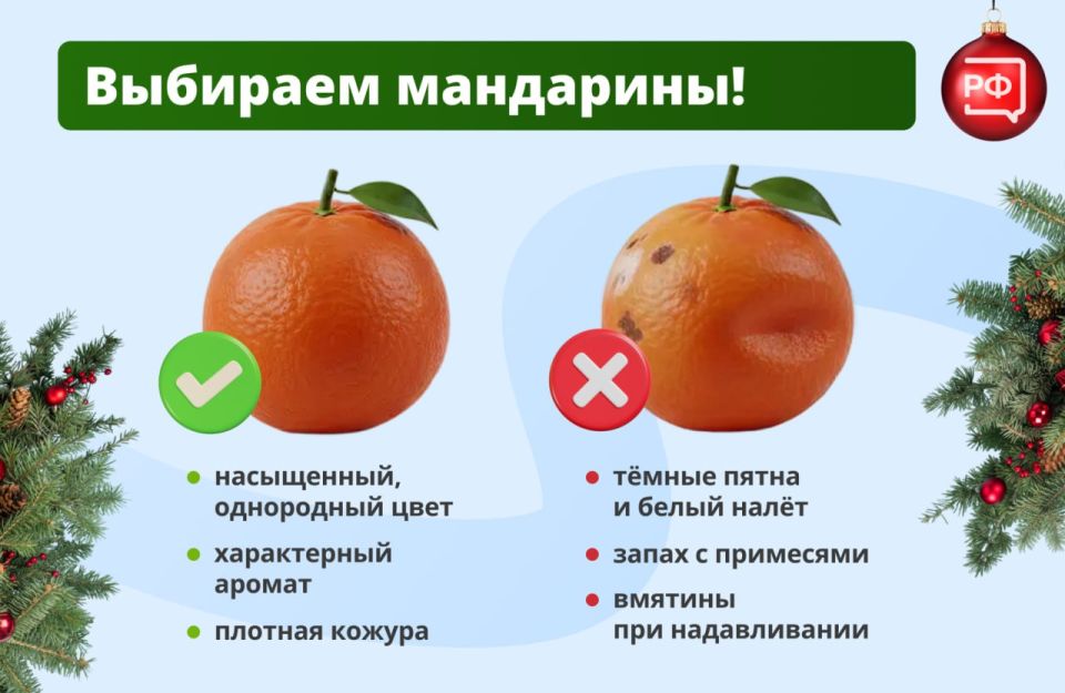 Главный кастинг декабря в разгаре! Рассказываем, как выбрать самые вкусные мандарины, которые украсят новогодний стол
