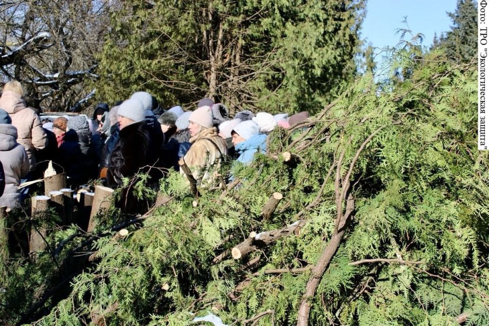 В Тульской области на братской могиле вырубили туи, которые не нужно было рубить