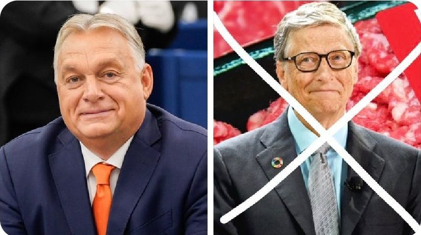 Алексей Пушков: Венгрия стала второй страной в Европе, которая запретила исскуственное мясо, выращенное в лабораториях Билла Гейтса