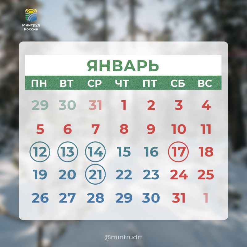 Сегодня в рубрике #PROДень — профессиональные праздники января