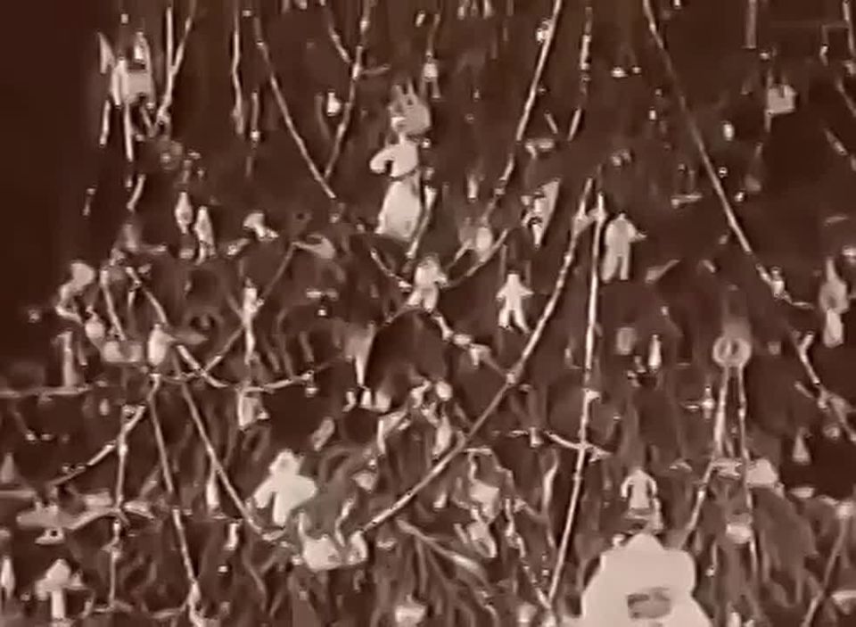 �� ���� �������� ������ ������� ����� �� ������, ��� ���� � ����� ���