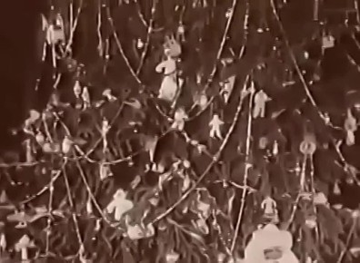 �� ���� �������� ������ ������� ����� �� ������, ��� ���� � ����� ���