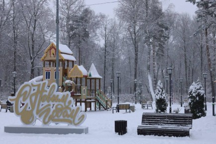 До Нового года осталось … 13 часов!