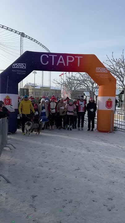 ���������� ������: � ���� ������ ������������ ������ ��������