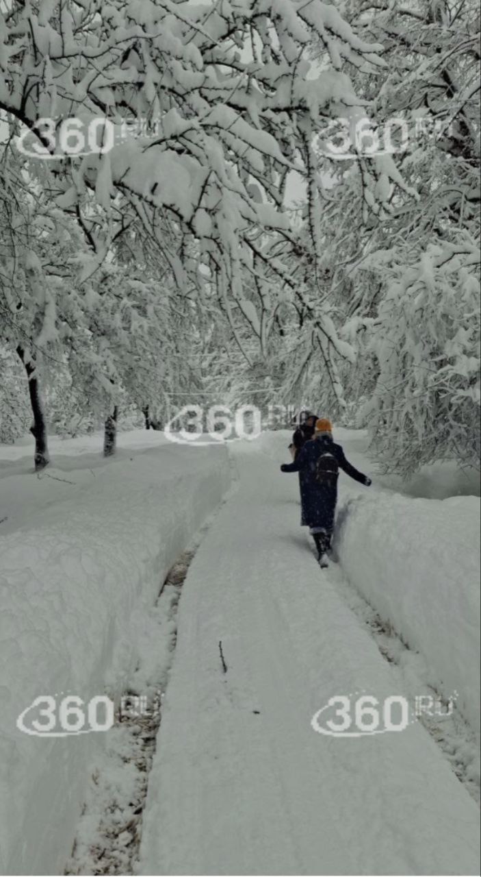 Снежный коллапс оставил жителей Кубани и Адыгеи без света, воды и отопления Снежный коллапс оставил жителей Кубани и Адыгеи без света, воды и отопления