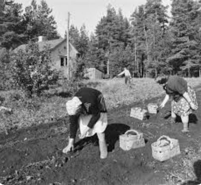 Олег Царёв: Прежде чем тратить огромные деньги на оборону, нужно создать для людей тот уровень жизни, который они захотят защищать