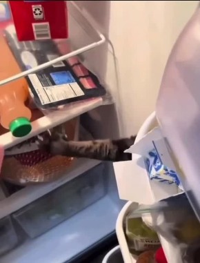 ��� ��� ��� ������, ��� �����������!�: