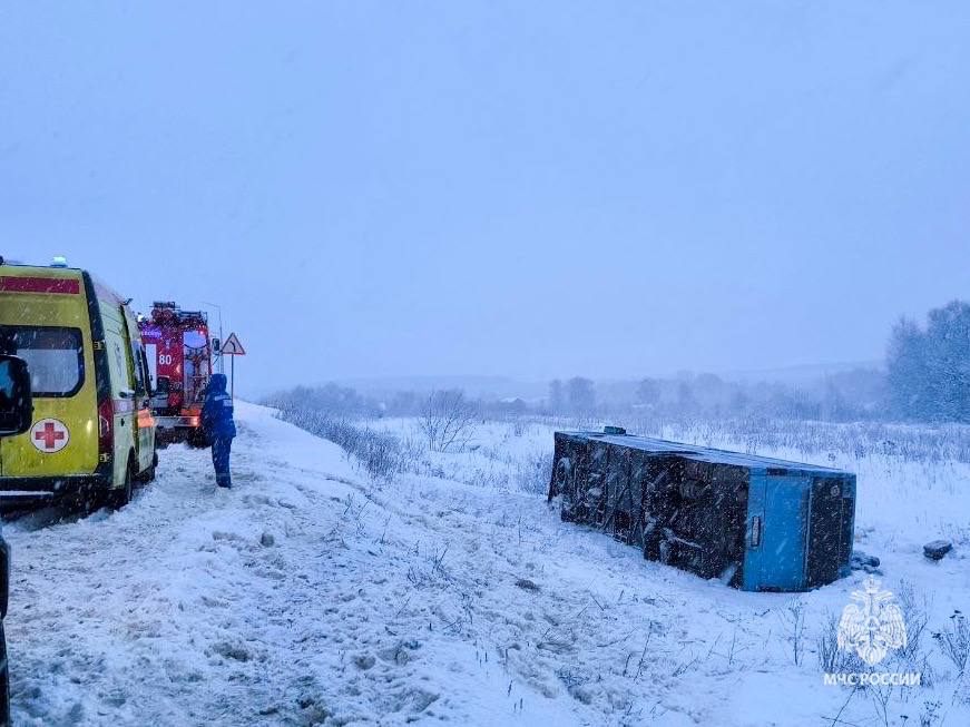 В Тульской области за прошедшие сутки 3 января