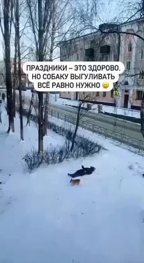 И о ситуации в стране!. Подпишись на ПУЛ N3 / MAX