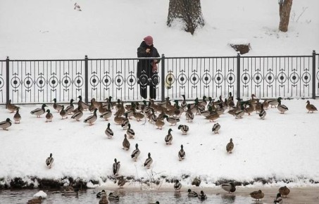 В Тульской области в первый месяц 2026 года, по прогнозам синоптиков, будет на пару градусов теплее, чем в прошлые годы многолетних значений