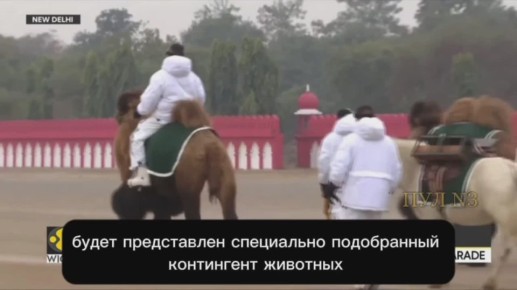 ��������, ����, ����� � ������ - � ����� ��������� �����: