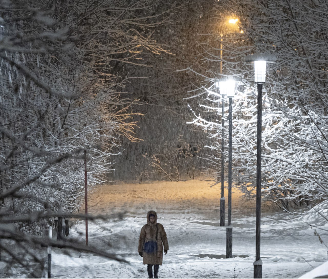 Новости, которые вы могли пропустить: