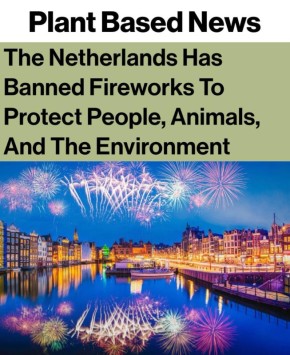 ����������� ��������� ���������� ���� ������ �����, �������� � ���������� ������: ��������� �������� ������ �������� ����������� �� ����� ���