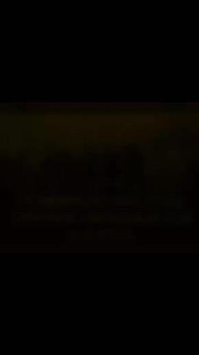 ����� � ���� ��������� ������� � ������ ������� ��� ������ ��� ��������� Telegram-������ ���� ������� ����������