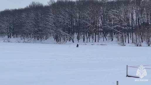 ���������� ���� �������� ���������������� ����� �� ������� �������� �������