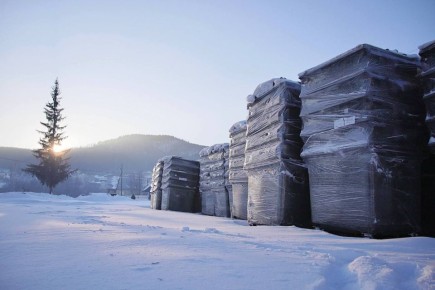 ������ ������: � ���������� ��������� ����� ���������� ��� ������