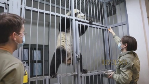 � ����-�� ��������� ������ ������ � ����� ������ ����� ��� 80 ��, �� ����� ������� ��� ������� 20: