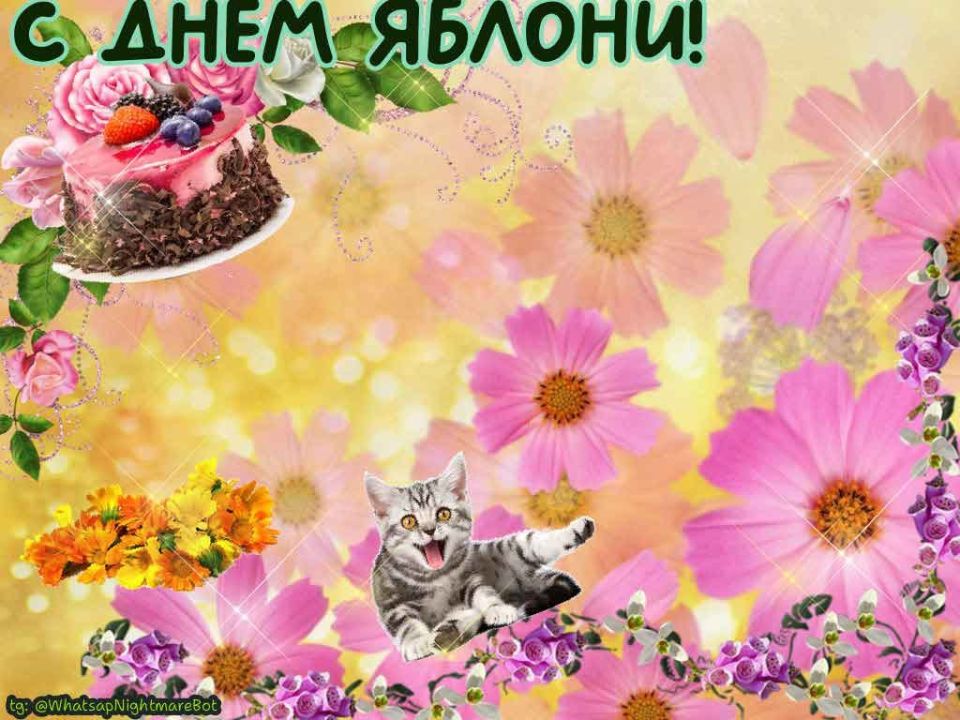 #КорочеПраздники на 6 января