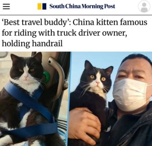 ������� ���� ��� �����������: � ����� ��� ����������� � �������� ��������� ������������ � ��������������