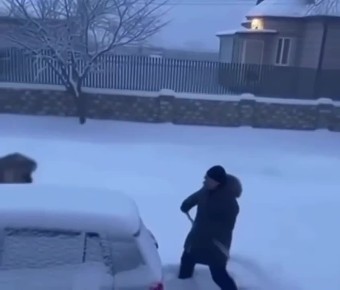 ���� ����: �������� �������� ������ ����� ����� �����: ��� �������� ���� ��������� �� �������� � ����������