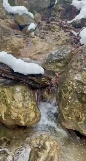 ���� ����: ������ �������� ��� ����� �� ����